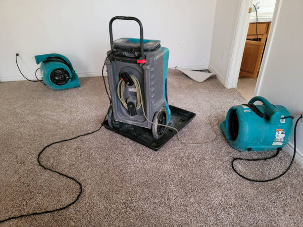 Best Flood restoration services  in North Port, FL