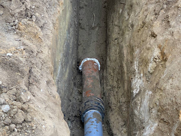Best Sewage cleanup and water damage restoration  in North Port, FL