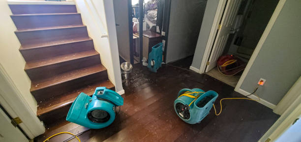 Best Flood damage cleanup  in North Port, FL