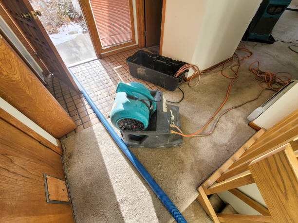 Best Local water damage restoration  in North Port, FL