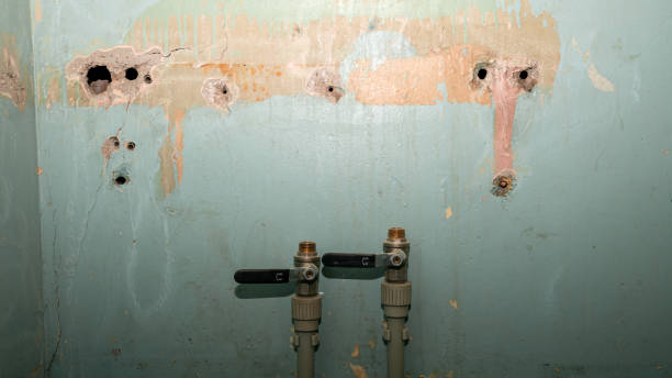 Best Ceiling water damage repair  in North Port, FL