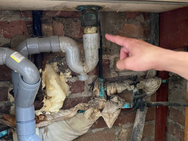 Best Commercial water damage restoration  in North Port, FL