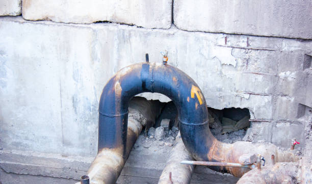 Best Professional water damage repair  in North Port, FL