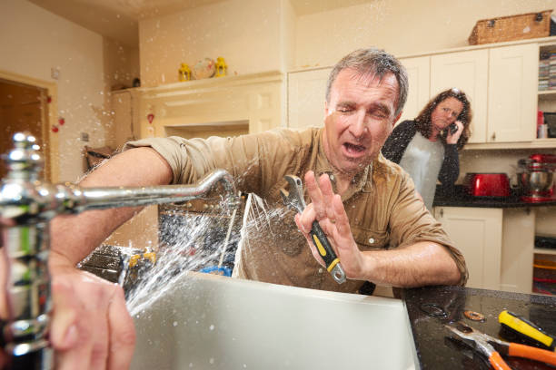 Best Fire Damage Restoration  in North Port, FL